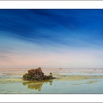 Obnažení po odlivu