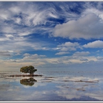 Thompson Beach za odlivu