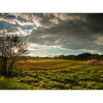 ...z toulek po Čechách...