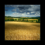 ..z toulek po Čechách..