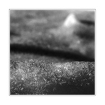 Kravina při pátku :-)