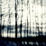 ... anatomie krajiny ...