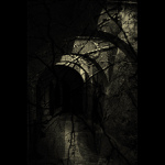 = House of the Ghosts =