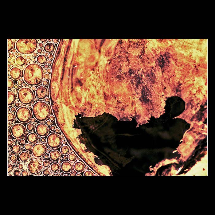 A la Klimt
