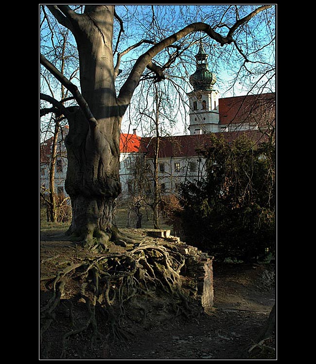 v zahradě Břevnovského kláštera