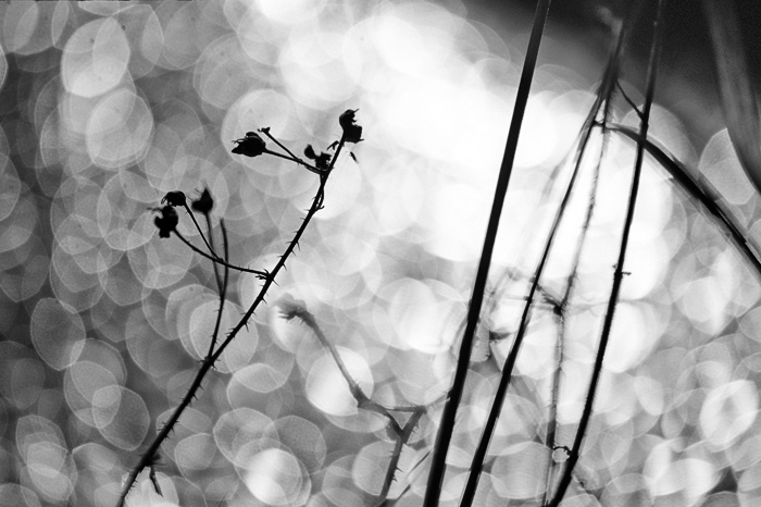 *****