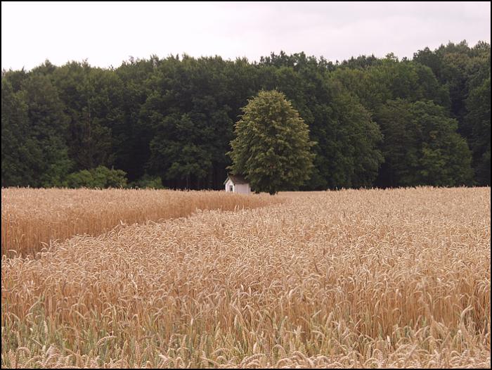 Kaplička