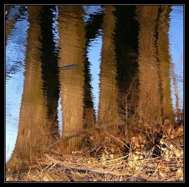 Podvečerní zrcadlení