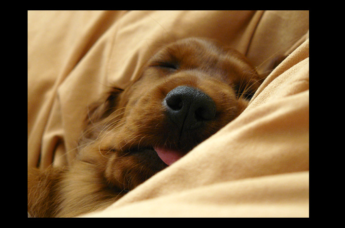 copak se jí asi zdá?