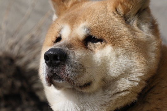 Hm, asi něco vidím...