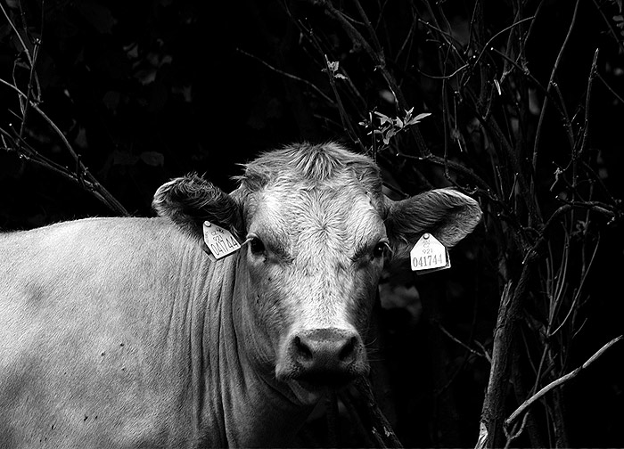 neobvyklý portrét :)