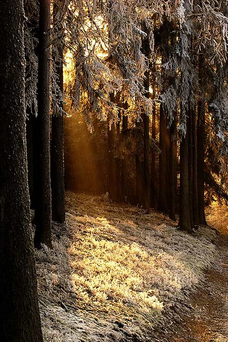 touch of light