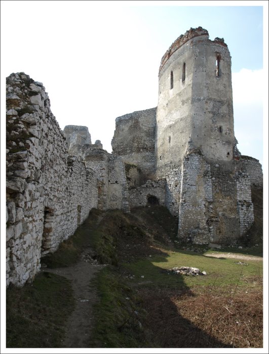 Čachtický hrad