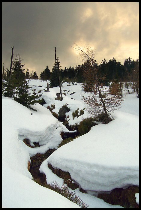Jakuszyce
