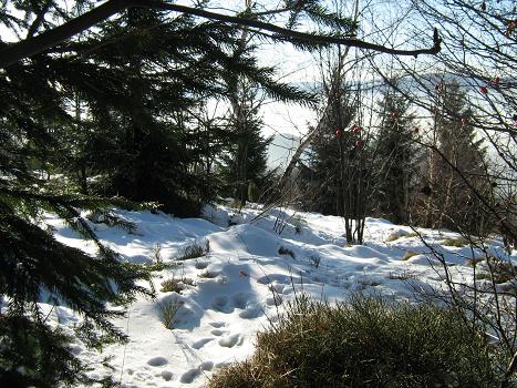 Sváteční sníh 2008
