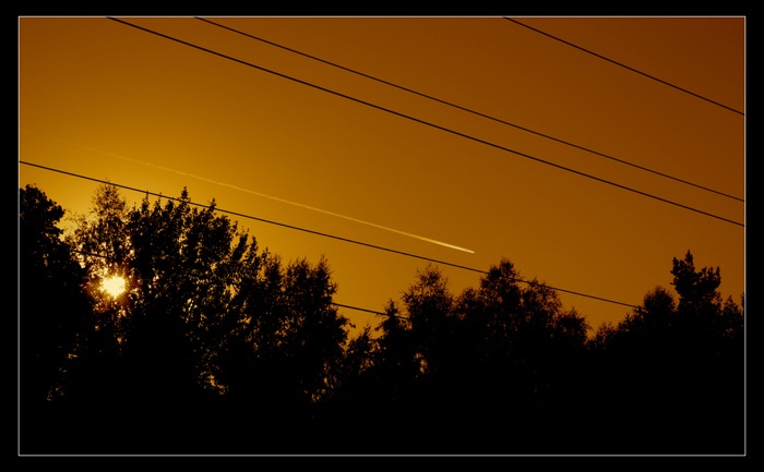Linie
