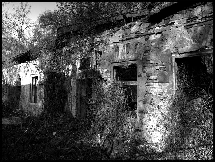 Zarastená história.