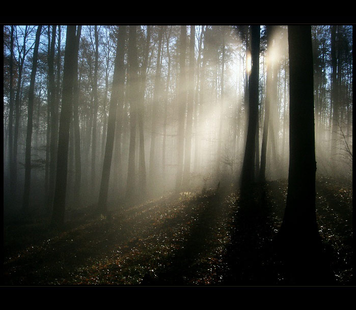 když mlha rozmrzla 2