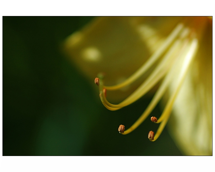 ... pojď, pojď ...