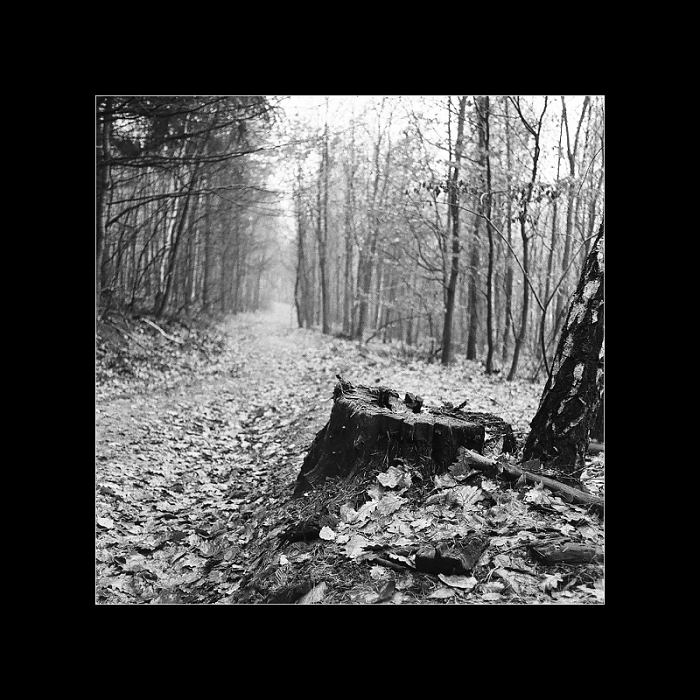 Obyčejné kousky krajin