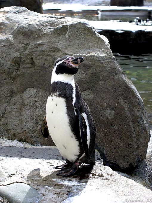 Velikonoční zoo