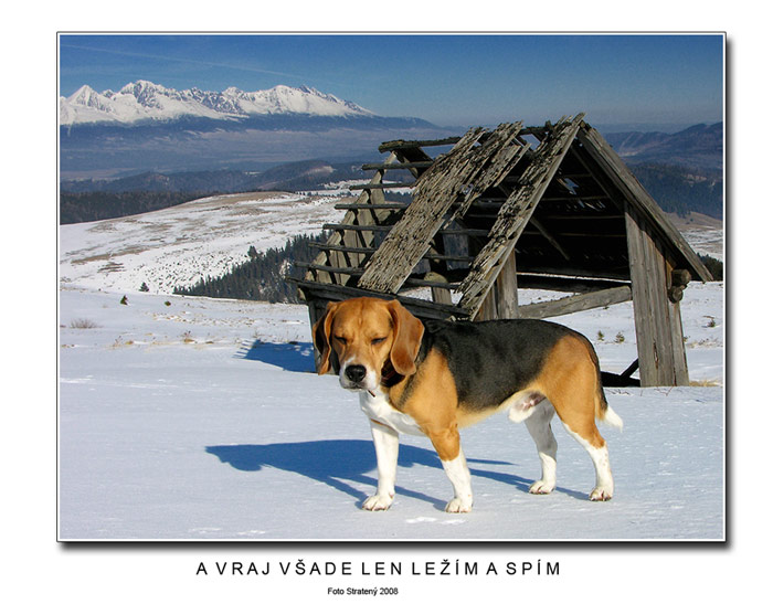 A vraj všade len ležím a spím