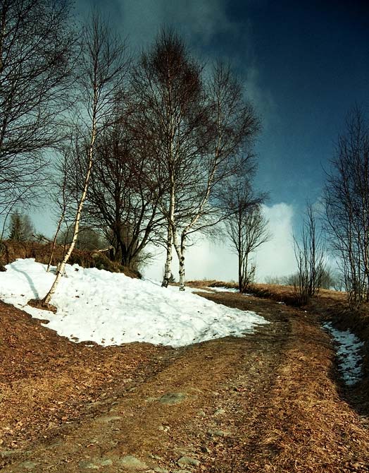 Předjaří