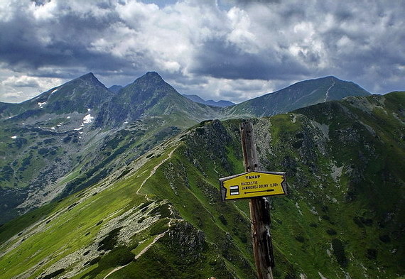 Roháče