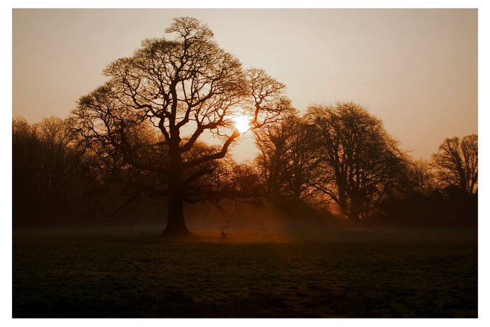 ...early in the morning...