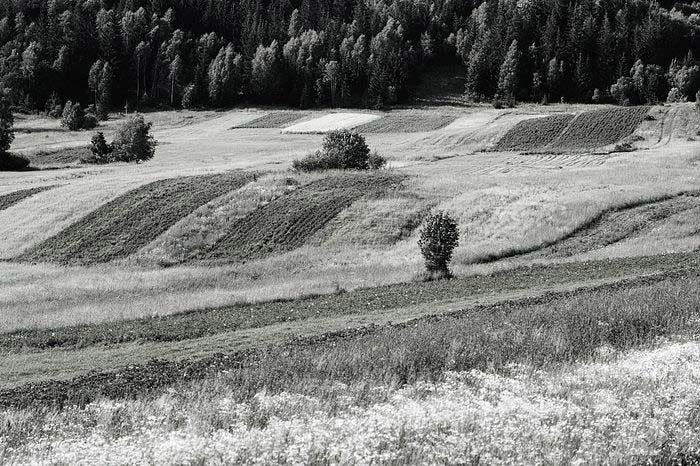 BW Orava II