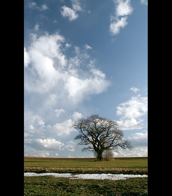 Stařec a nebe