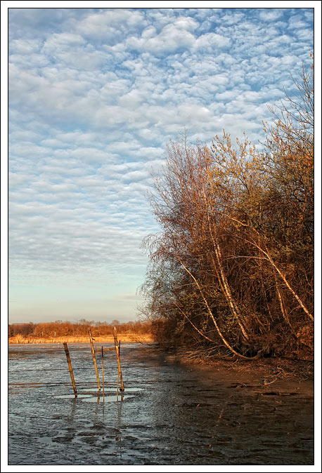 Zátiší vypuštěného rybníka