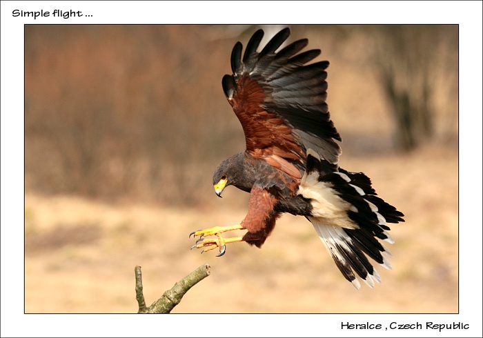 ladné přistání ...