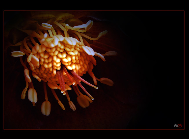 Adéla ještě nevečeřela