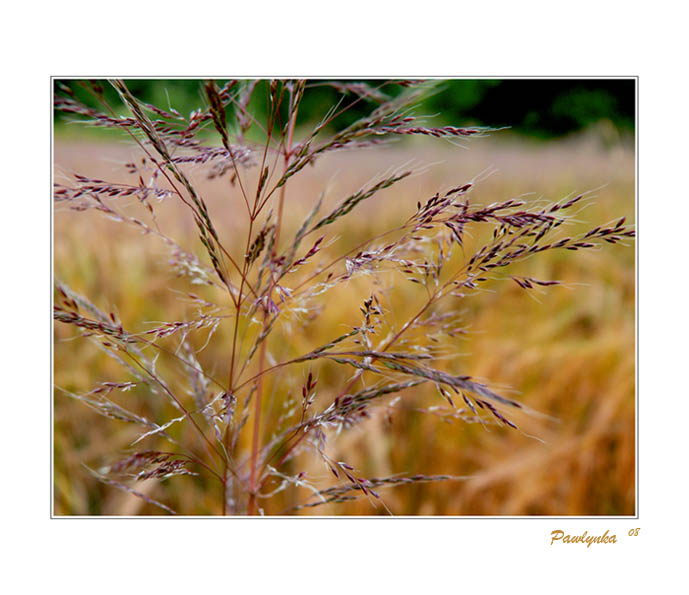 Pro maličkost nevidět svět...