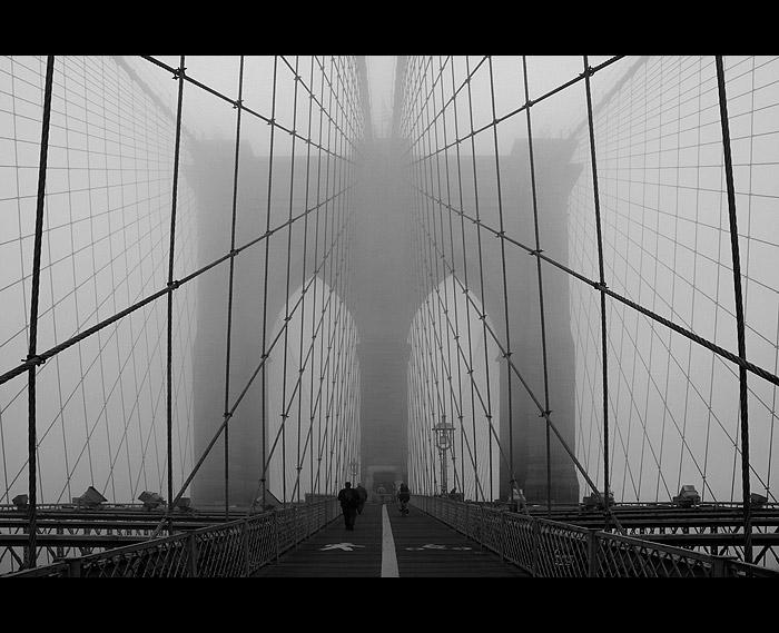 Brooklyn Morning