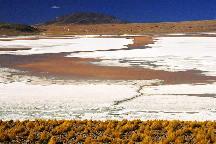 Laguna Colorada