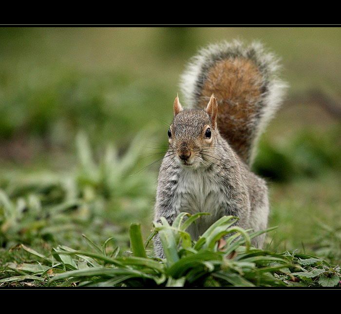 ... co mas dobreho ?! ...