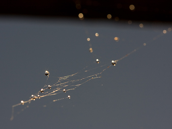 ...Malé drobnosti....