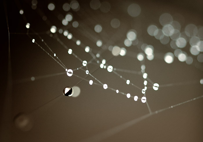 ..Pavoučí navlékání...