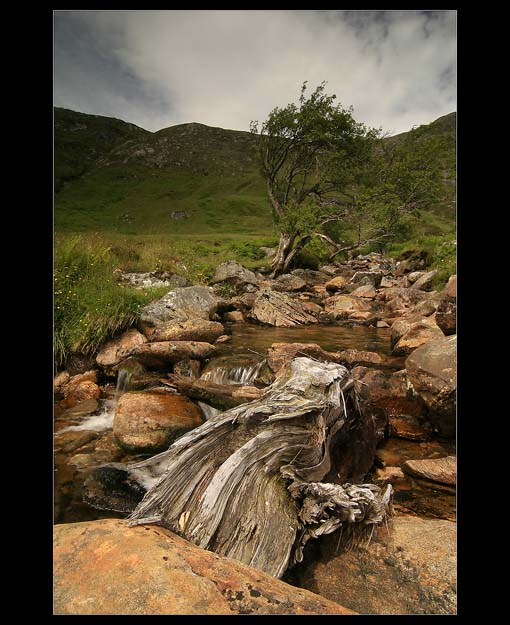 Glen Affric II.