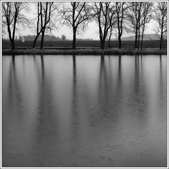 ..cesta...
