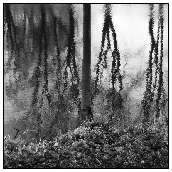 ..dirigent...
