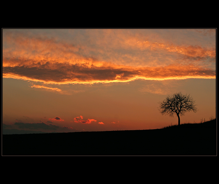 Solitér