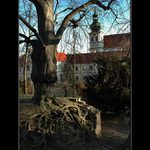 v zahradě Břevnovského kláštera