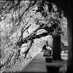 kdyby tam byl jen ten vul na lavicce, tak je to celkem ok