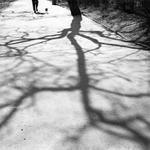 na prochazce, pejsek netrousi, slunce sviti, pan ma jen jednu pulku