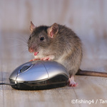 Láska je slepá ... !