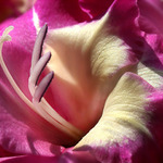 "Pojď blíž, sluníčko..!"