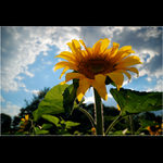 Slunce trošku jinak...